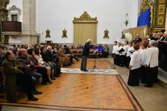Dez_milhoes_estrelas_luz_paz_belem_2017 (31)