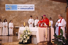 25_anos_paroquia_s_luis (6)