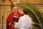 Domingo_ramos_2016 (29)