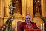 Domingo_ramos_2016 (33)