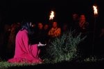 Paixao_cristo_pera_2016 (45)