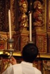 Vigilia (46)