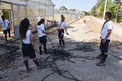 Acareg_2019-19