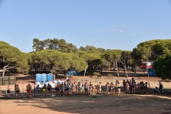Abertura_acareg_2019-13