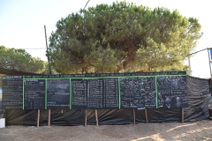 Abertura_acareg_2019-28