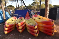 Abertura_acareg_2019-29