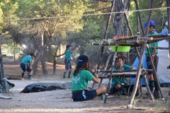 Abertura_acareg_2019-31