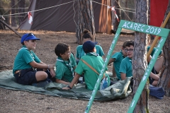 Abertura_acareg_2019-32