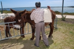 Algarve_nature_week (44).JPG
