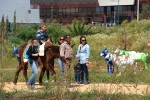 Algarve_nature_week (70).JPG