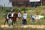 Algarve_nature_week (70).JPG