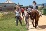 Algarve_nature_week (73).JPG