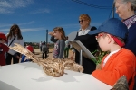 Algarve_nature_week (92).JPG