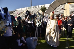 Bencao_pastas_ualg_2019-11