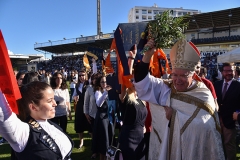 Bencao_pastas_ualg_2019-15