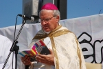 Bencao_pastas_2014 (10)