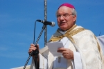 Bencao_pastas_2014 (15)