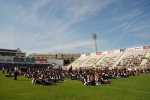 Bencao_pastas_2014 (19)