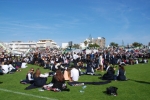 Bencao_pastas_2014 (21)