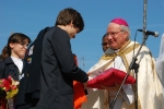 Bencao_pastas_2014 (24)