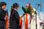 Bencao_pastas_2014 (25)