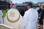 Bencao_pastas_2014 (27)