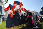 Bencao_pastas_2014 (5)