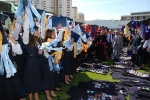 Bencao_pastas_2014 (7)