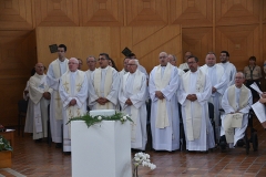 Bodas_prata_sacerdotais_padre_carlos_aquino (8)