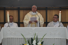 Bodas_prata_sacerdotais_padre_carlos_aquino (9)