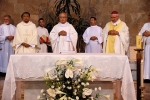 Bodas_ouro_sacerotais_pe_antonio_rocha (12)