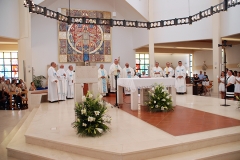 Bodas_ouro_padre_elisio_dias (10)