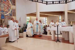 Bodas_ouro_padre_elisio_dias (11)