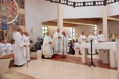 Bodas_ouro_padre_elisio_dias (11)