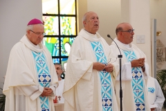 Bodas_ouro_padre_elisio_dias (12)