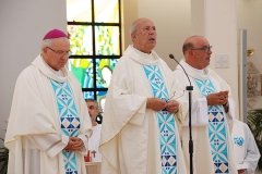 Bodas_ouro_padre_elisio_dias (12)