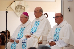 Bodas_ouro_padre_elisio_dias (13)