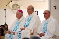 Bodas_ouro_padre_elisio_dias (13)