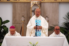 Bodas_ouro_padre_elisio_dias (14)