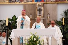 Bodas_ouro_padre_elisio_dias (16)