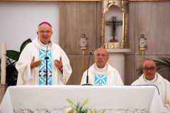 Bodas_ouro_padre_elisio_dias (17)