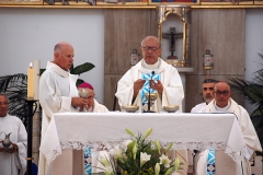 Bodas_ouro_padre_elisio_dias (18)