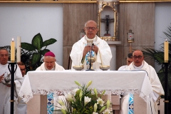 Bodas_ouro_padre_elisio_dias (19)