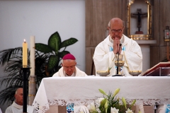 Bodas_ouro_padre_elisio_dias (20)