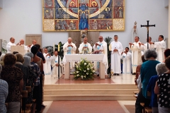 Bodas_ouro_padre_elisio_dias (22)