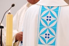 Bodas_ouro_padre_elisio_dias (23)