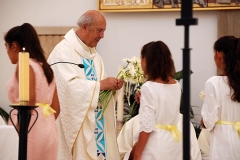 Bodas_ouro_padre_elisio_dias (28)