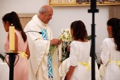 Bodas_ouro_padre_elisio_dias (28)