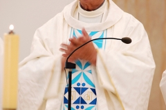Bodas_ouro_padre_elisio_dias (29)
