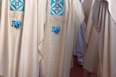 Bodas_ouro_padre_elisio_dias (32)